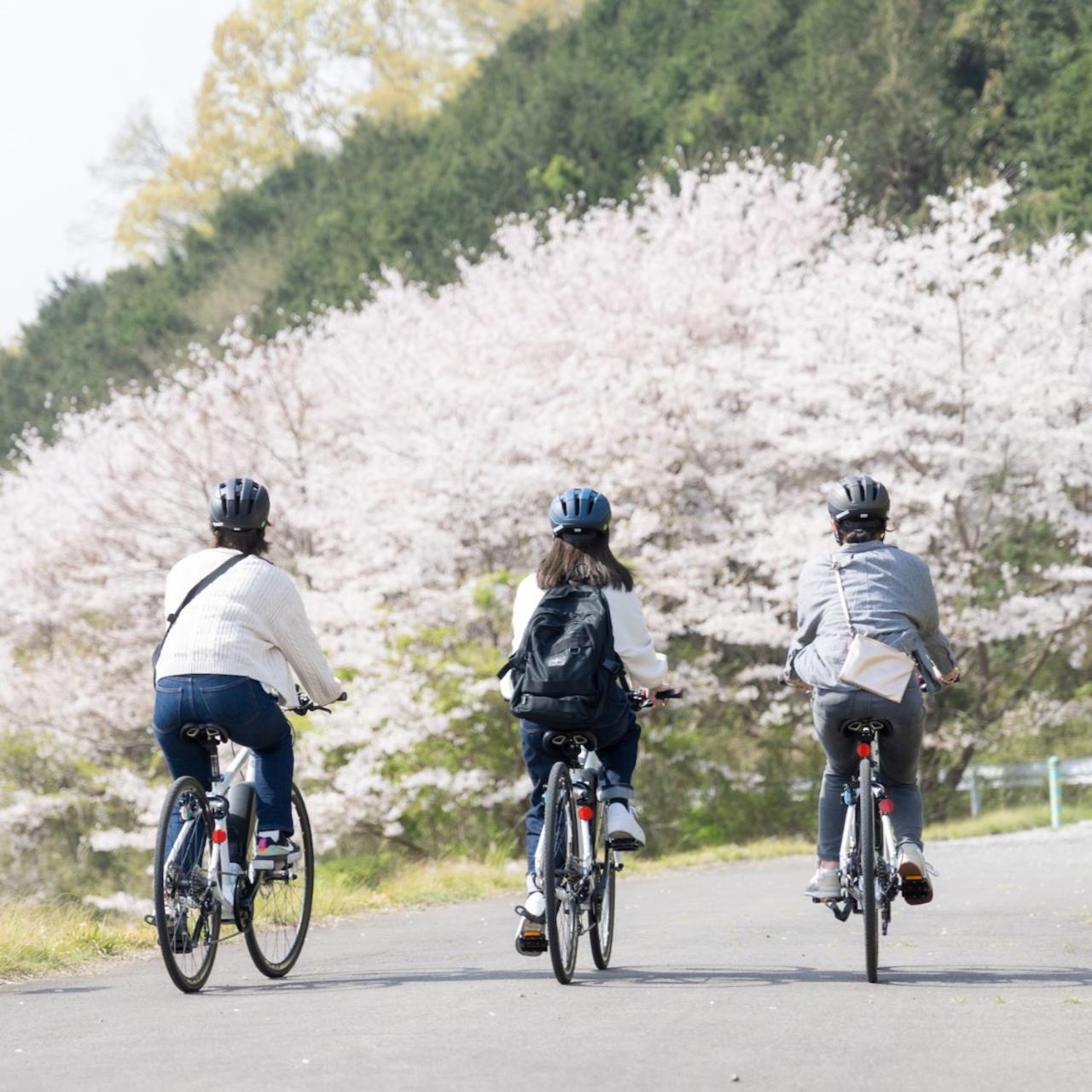 Kona Stay Bicycle Resort Izunokuni Екстериор снимка